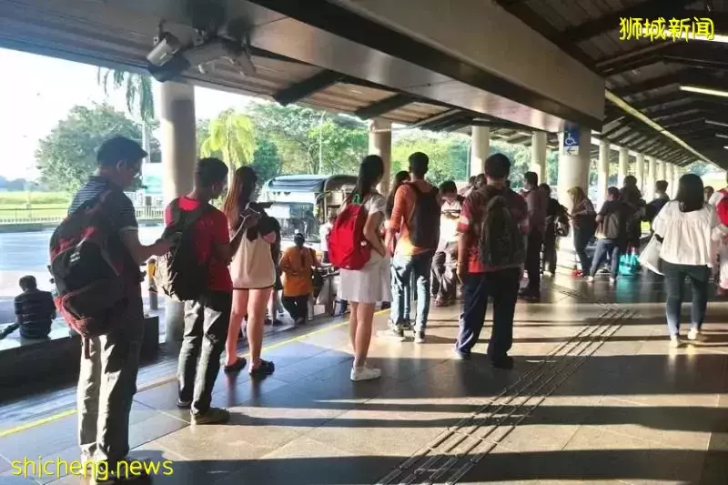 “他跪在新柔长堤上哭了”,新加坡和新山油价暴涨,只能骑车回家