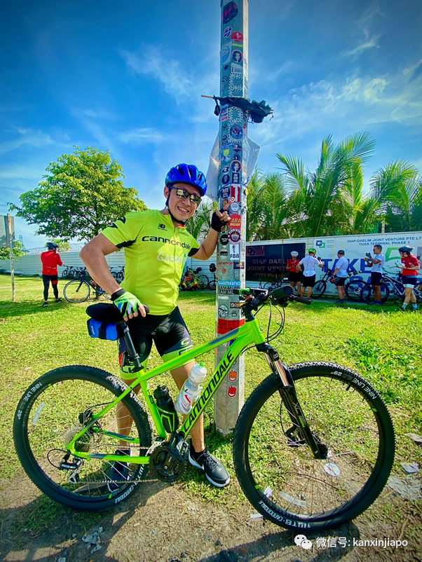 坡岛政府批了！贴纸尽量往这支灯柱上贴，越多越好