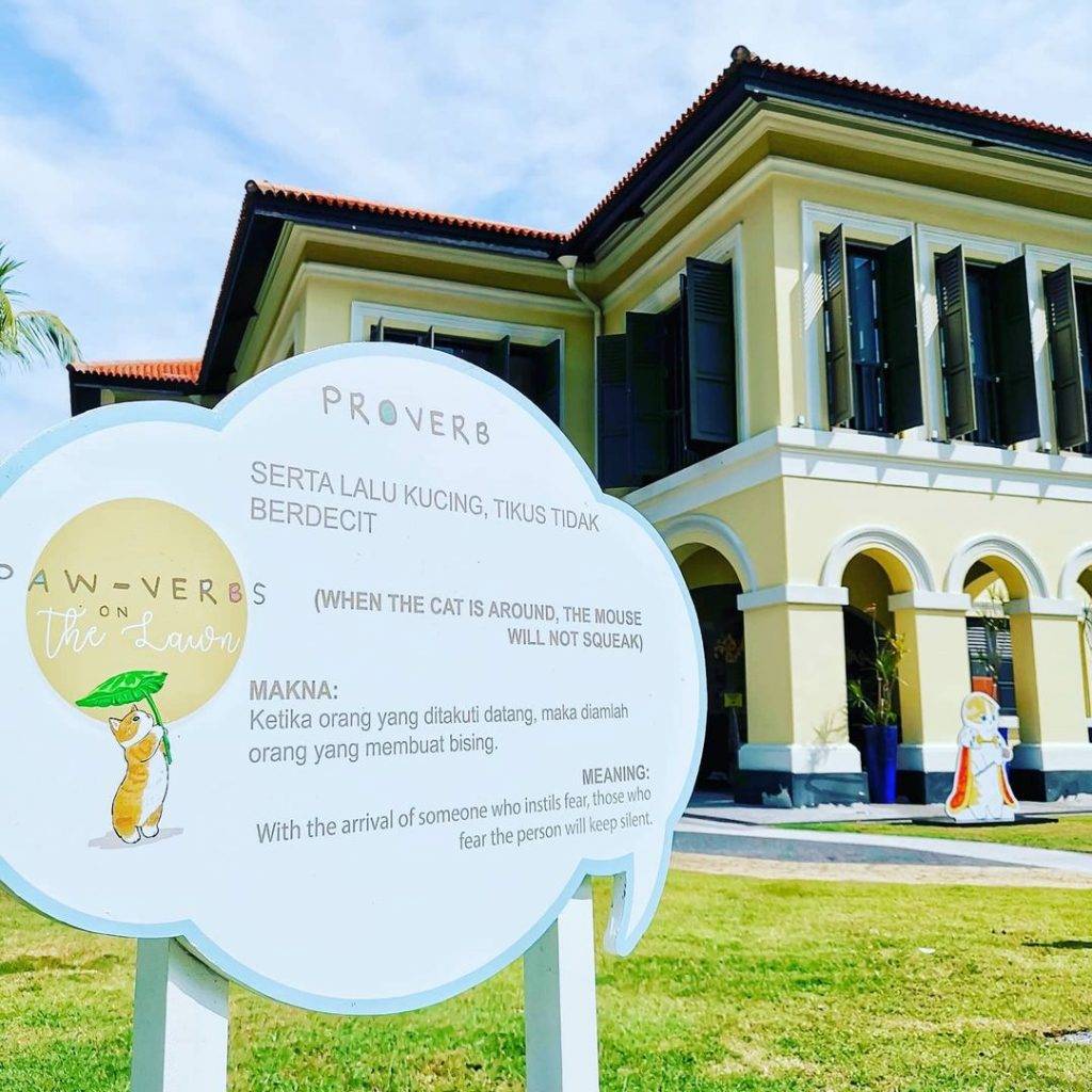 免费展出🎊最新猫咪艺术展限时登场+可爱放送🐱 日本插画家原创作品,青青草坪增添软萌气息