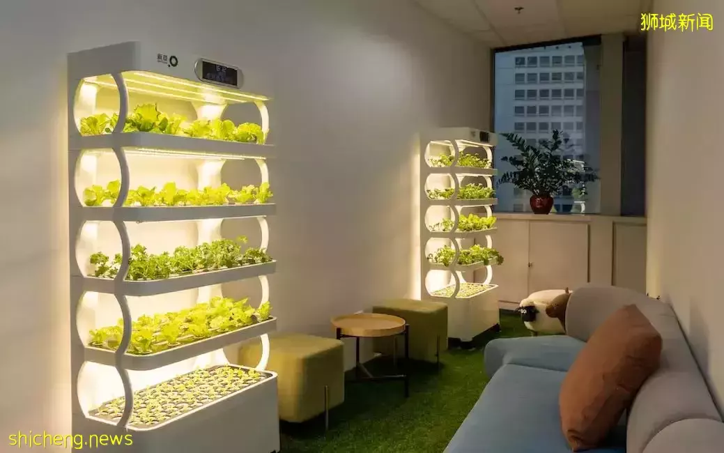 新加坡英文媒體也來采訪報道O2Work 了