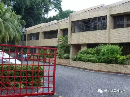 今年新加坡政府售地活動積極樂觀,同時刺激本地集體出售活動