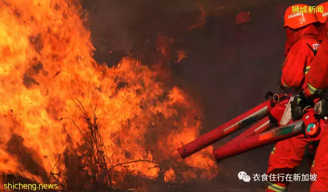 SCDF表示:2021年中火灾事故数量减少,但火灾伤亡增加!消防安全应当注意