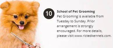 經營20年的新加坡“動物度假村”宣布結業，明年1月10日爲最後營業日期