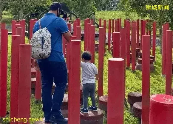 帶娃逛遍新加坡的森林和水庫，9條適合兒童徒步的路線