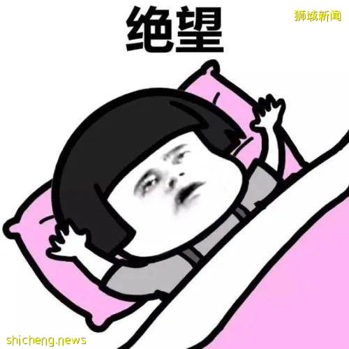 巴厘岛紧急取消开放计划！新加坡却允许到新西兰、文莱旅游