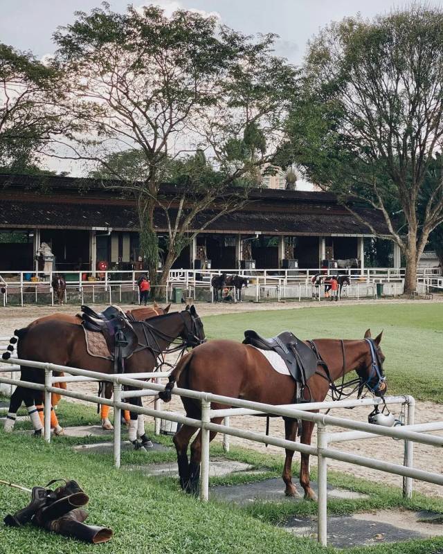11月獅城值得打卡的餐廳新成員,這周吃點新花樣