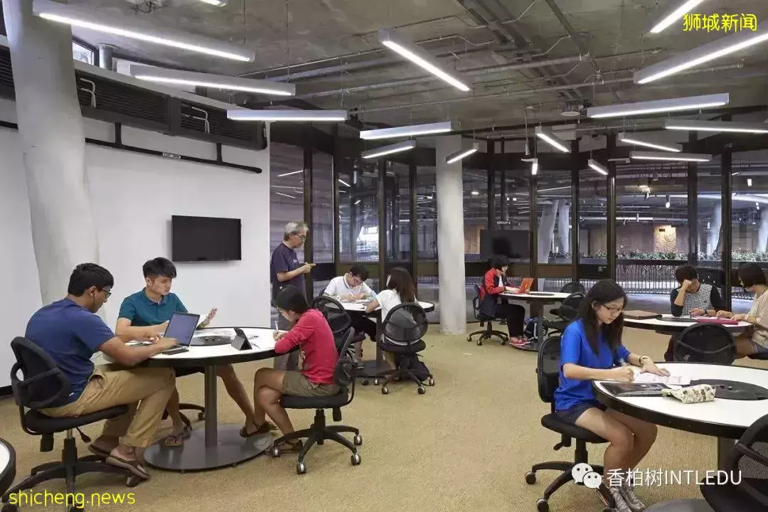 很多父母都想了解的新加坡教育