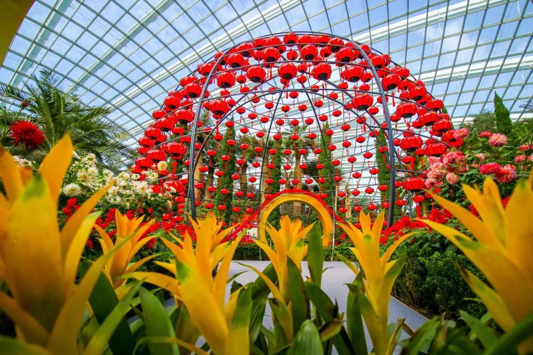 濱海灣花園新春花卉展【大麗花之夢】，1月15日開幕！喜氣洋洋迎牛年