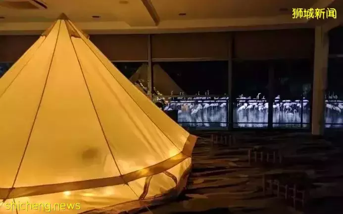 小朋友超爱！裕廊飞禽公园露营！和火烈鸟一起度过美好夜晚