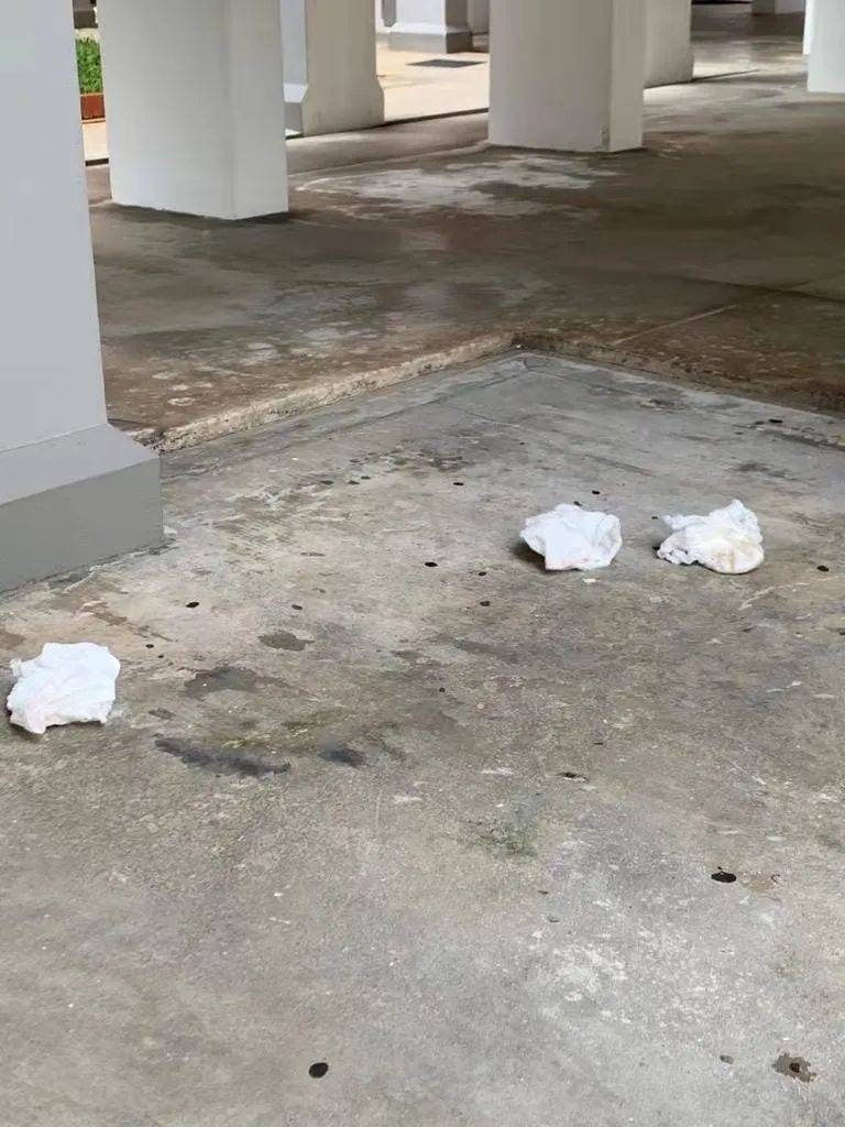 新加坡高层抛物，还是脏尿布，那你可能万元罚款跑不掉