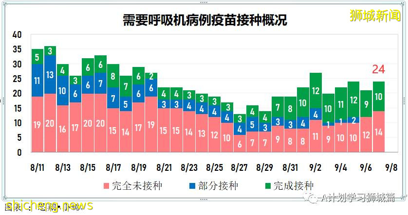 9月8日，新加坡疫情：新增349起，其中本土347起，輸入2起；新增一學校感染群8名小四生確診