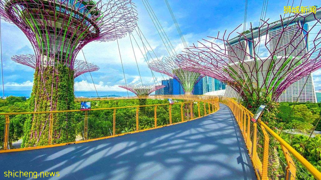 Gardens by the Bay新促销！1年无限制门票仅需42新！6个月工作日门票仅需20新
