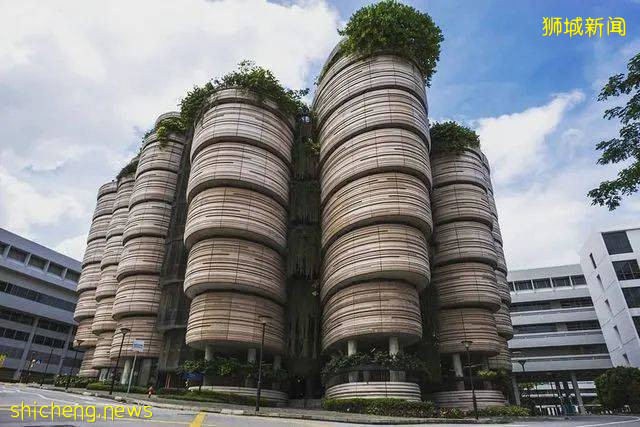 我lllllb了!原来狮城还有这些“奇葩”建筑