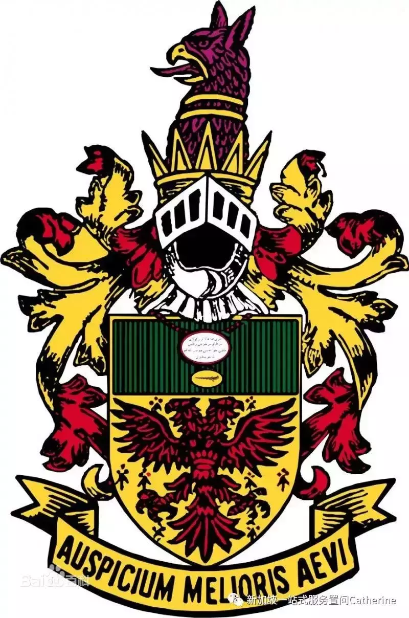 初級學院線上開放日來襲O水准之後怎樣報讀?最全介紹看過來