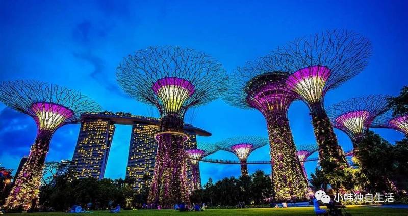 新加坡 從“哈芝巷”步行到“小印度”