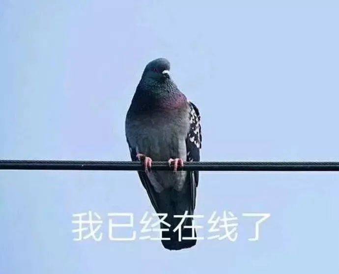 新加坡立法:下班后不用回信息,问题是你敢吗