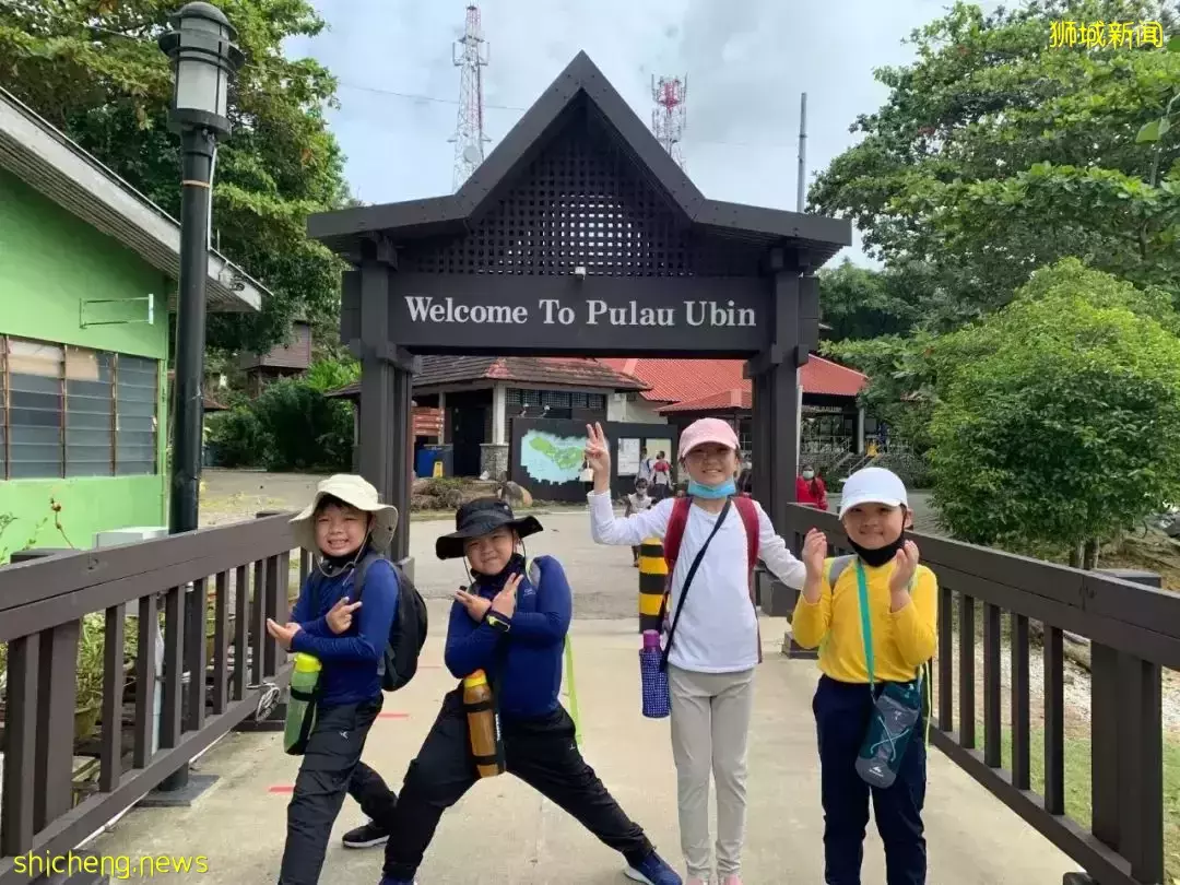 叢林探險、生存挑戰！新加坡戶外學校的6大假期營超級寶藏