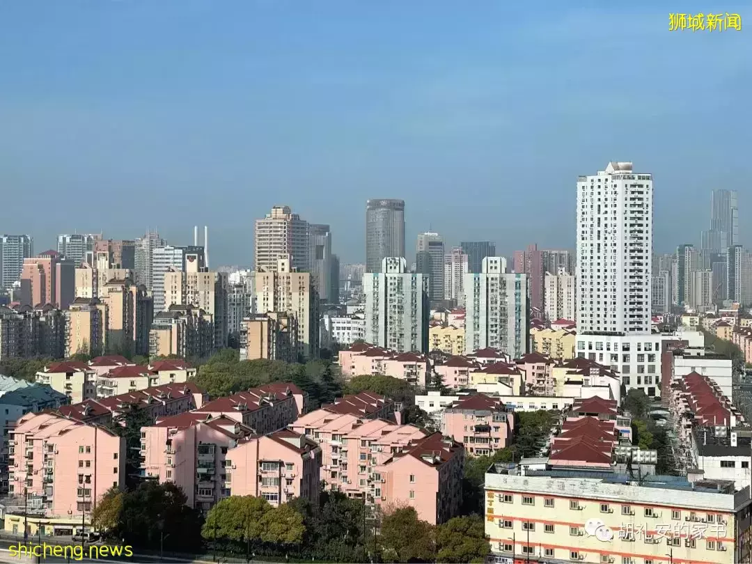 “从新加坡回到上海,封锁一再延长,我被卷入了这场前所未有的大事件”