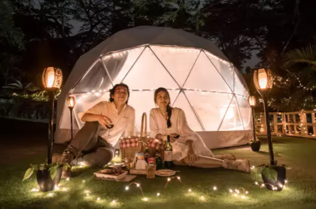 本周折扣活動!前天起免費領口罩,試劑盒降價,動物園可露營