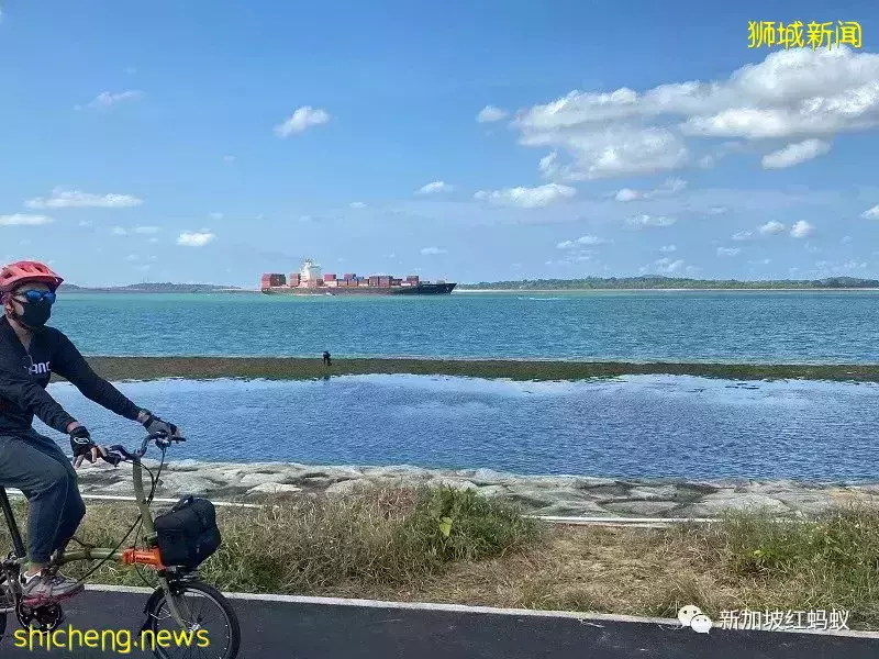 【圖文】這段18公裏沿海路線美爆了! 左看右看都不像在新加坡