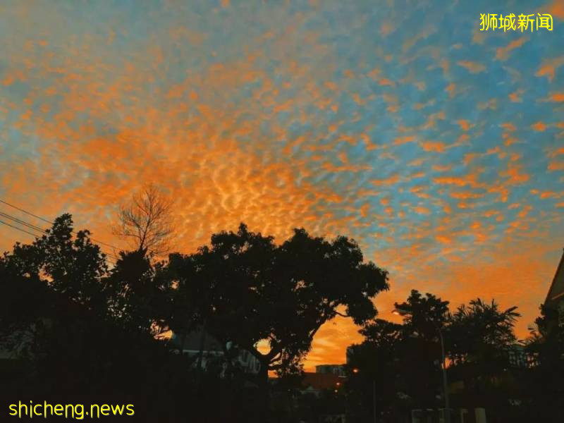 美如畫卷的新加坡，等你來!