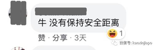 牛牪犇!牛车水变身“农场”,喜迎春节到来