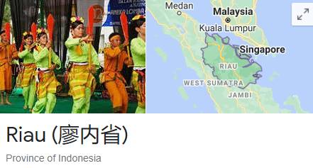 最新排名!新加坡护照仍是“地表最强”,疫情下近30国免隔离入境