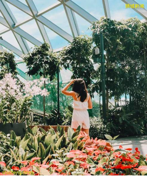 解封後回歸社交生活，有哪些好玩的活動和地點值得一逛？一起來看看吧