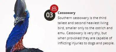 經營20年的新加坡“動物度假村”宣布結業，明年1月10日爲最後營業日期