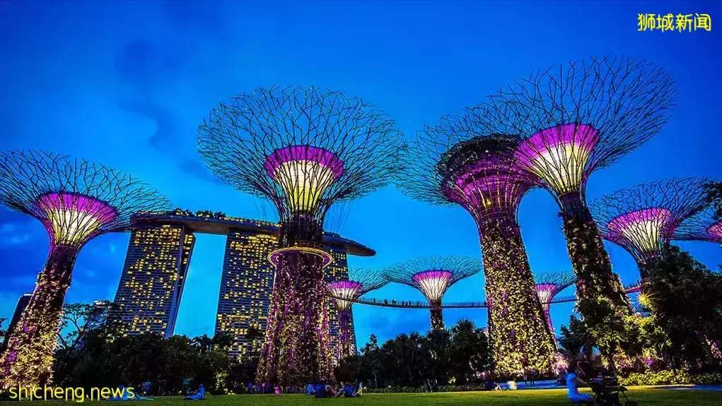 就連自殺都違法，新加坡究竟是一個怎樣的國家