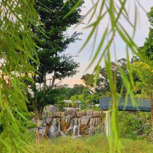 南洋理工大學，每一幀都很美