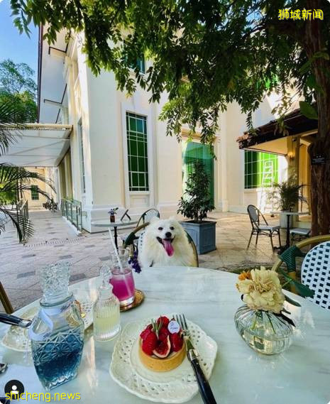 打卡新点一秒飞🛬巴黎, 在花园餐厅用餐喝咖啡