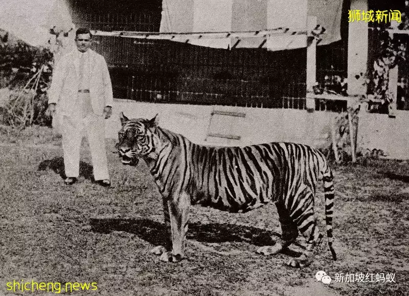 愛因斯坦竟到訪過新加坡的首個動物園，還贊說“好棒”