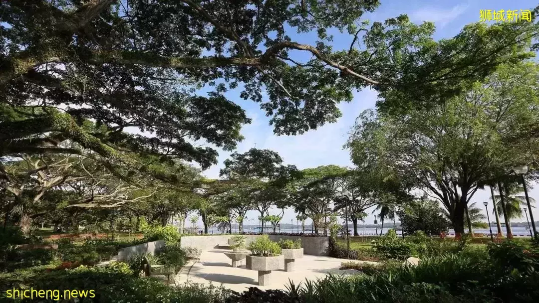 新加坡又要建4个新公园啦,骑车、徒步、观鸟又有新去处了