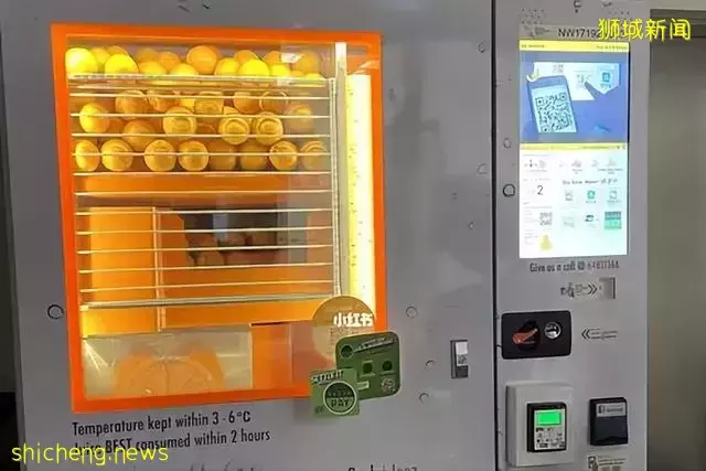 发达的新加坡，竟然随处可见小动物！新加坡冷知识（精选集）