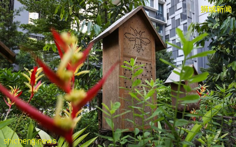 SkyParc @ Dawson组屋爱屋及乌 生态设计获得建屋局奖