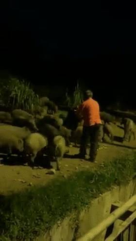 解封後，新加坡有“一對情侶”在馬路上沒戴口罩，公然擁抱!