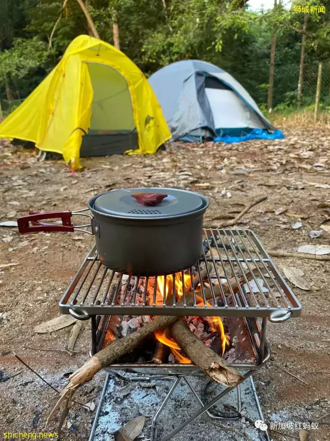 野奢式露營在新加坡日益受歡迎 相關産品越變越時尚好看便利