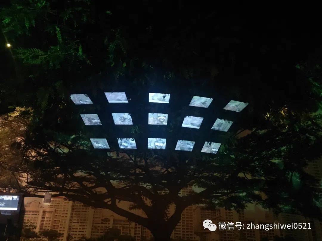 新加坡遊記系列 走,去逛博物館呀