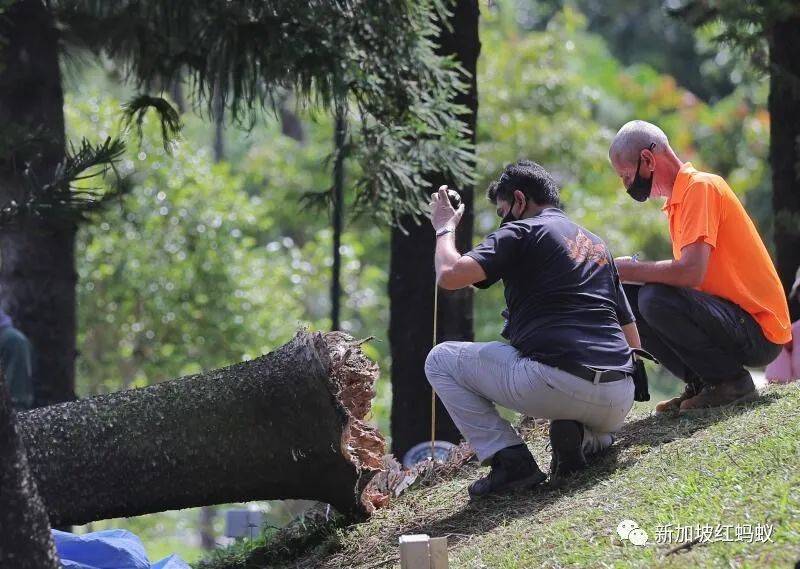 意外防不胜防? 　在狮城各种潜在危险面前，靠人不如靠自己