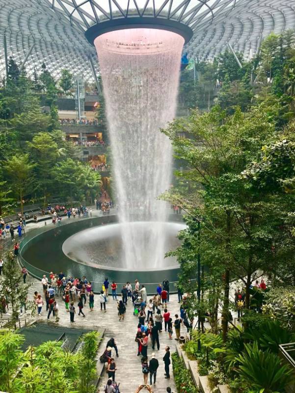 人生艰难樟宜有爱！大庇天下寒士俱欢颜