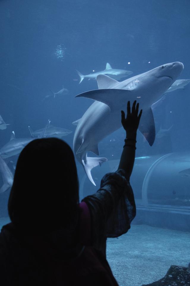 新加坡10天深度自由行，感受世界最嚴法律下的四大種族交融之地3