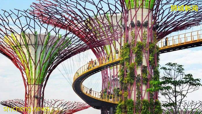 【每周折扣】星級餐廳買一送一、小家電大促,一波最新優惠來襲