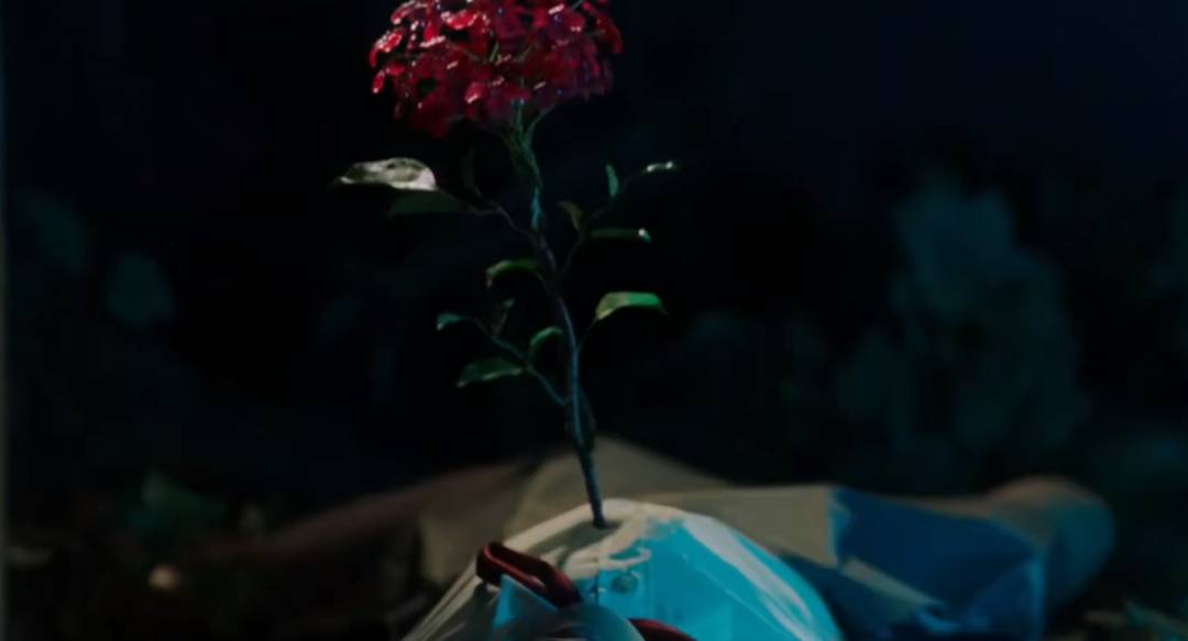 新加坡1月份上映電影大盤點，哪部是你的菜