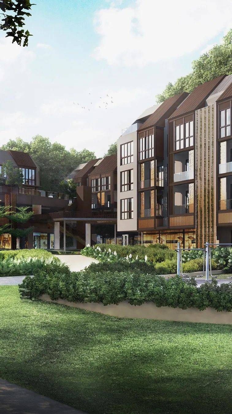 全球名校认可的高中国际文凭,新加坡学生通过率近98%