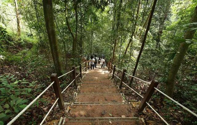 新加坡10个最美公园告诉你,花园城市有多美