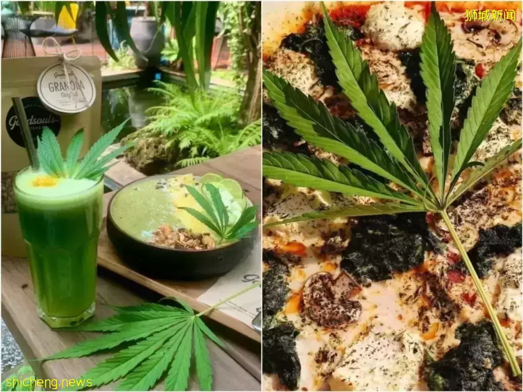 李顯龍總理：不會將毒品合法化 ！多國毒販被鞭刑、處死，求情被拒！新加坡毒販曾弑母殺女