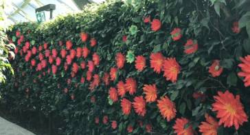 10分钟！从设计角度带你逛完新加坡的商业标杆 