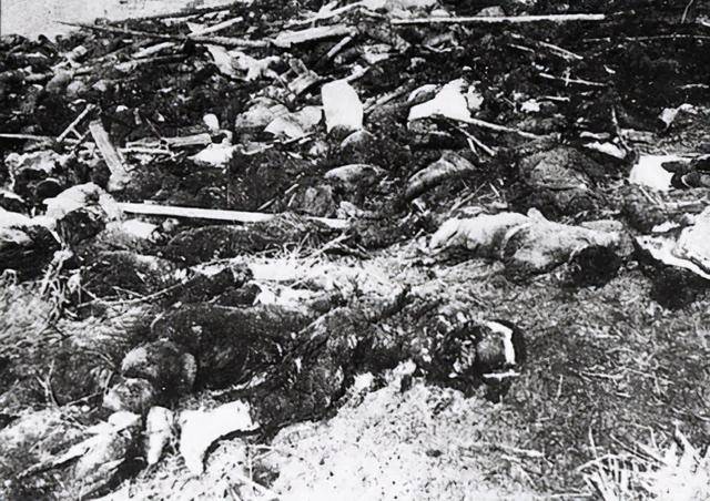 日本侵略者又一個罪證！新加坡大屠殺，毫無人道，令人發指