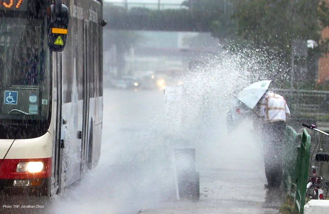 罕見!新加坡聖淘沙這條河變成了粉色,驚現大批死魚!39年創記錄暴雨太作了